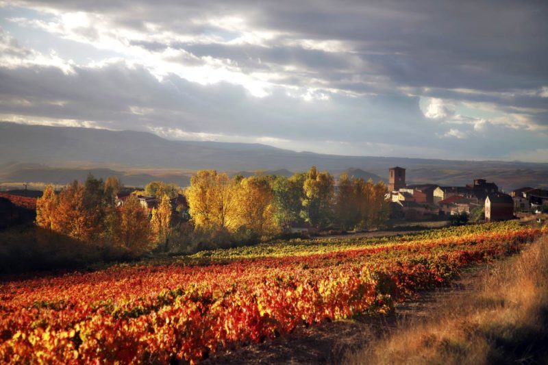 casas rurales La Rioja, casa rural La Rioja, casas rurales para grupos grandes alquiler íntegro, casas rurales 20 personas en La Rioja, casa rural grupos grandes en La Rioja, casa rural adaptada minusvalidos en Uruñuela, casa rural la alameda Uruñuela, casas rurales para grupos grandes en uruñuela, casa rural grande para grupos La Rioja, casas rurales grandes para grupos en La Rioja , casa rural en La Rioja con piscina en La Rioja , Uruñuela casa rural, casas rurales 15 personas en La Rioja, casas rurales adaptadas para minusvalidos en La Rioja, casa rural para grupos grandes en La Rioja, casas rurales con encanto La Rioja, casa rural para grupo grande en Uruñuela, casa rural para grupos en La Rioja, alojamiento rural La Rioja, escapada rural La Rioja, casas para grupos grandes en La Rioja, casas rurales para grupos baratas, casas rurales con piscina para grupos grandes, casas con piscina privada La Rioja, casas rurales 10 personas en La Rioja